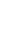 Logo Magnifico Train