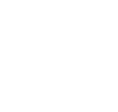 Logo Phoenix Studio
